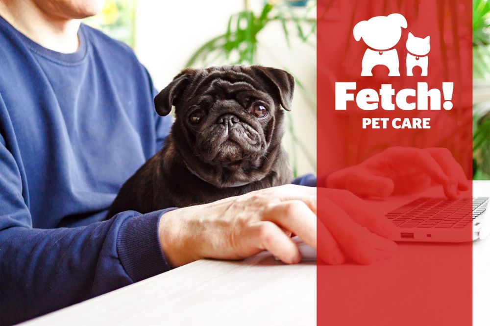 Pet Care of East Bay & Contra Costa