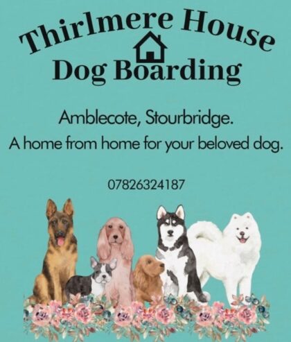 Dog boarding