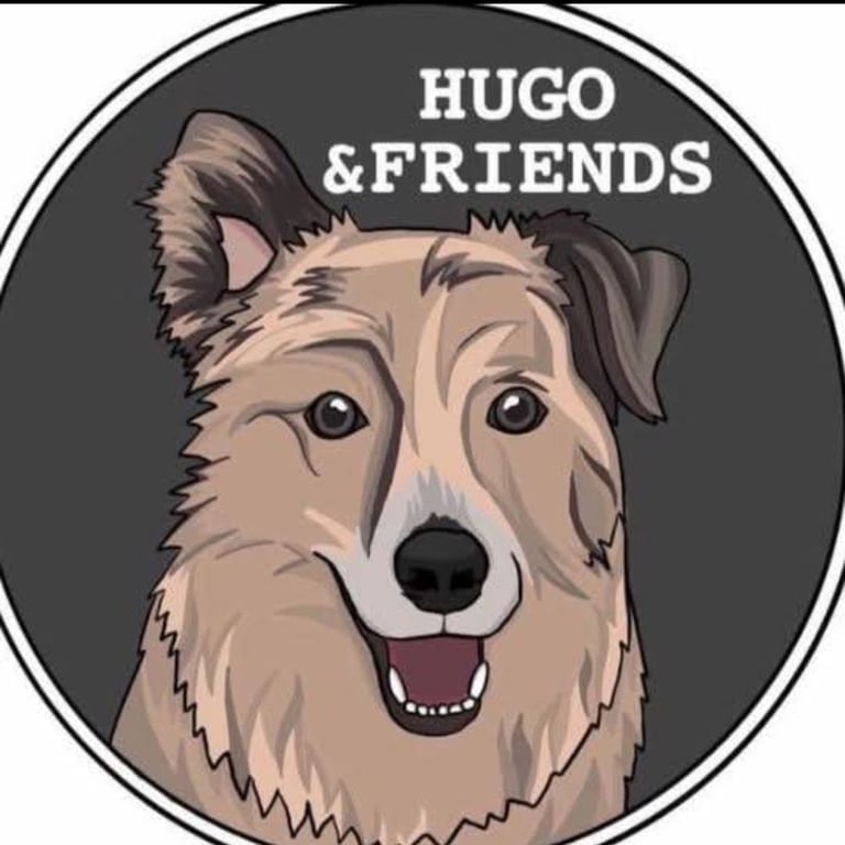 Hugo and Friends Kennel