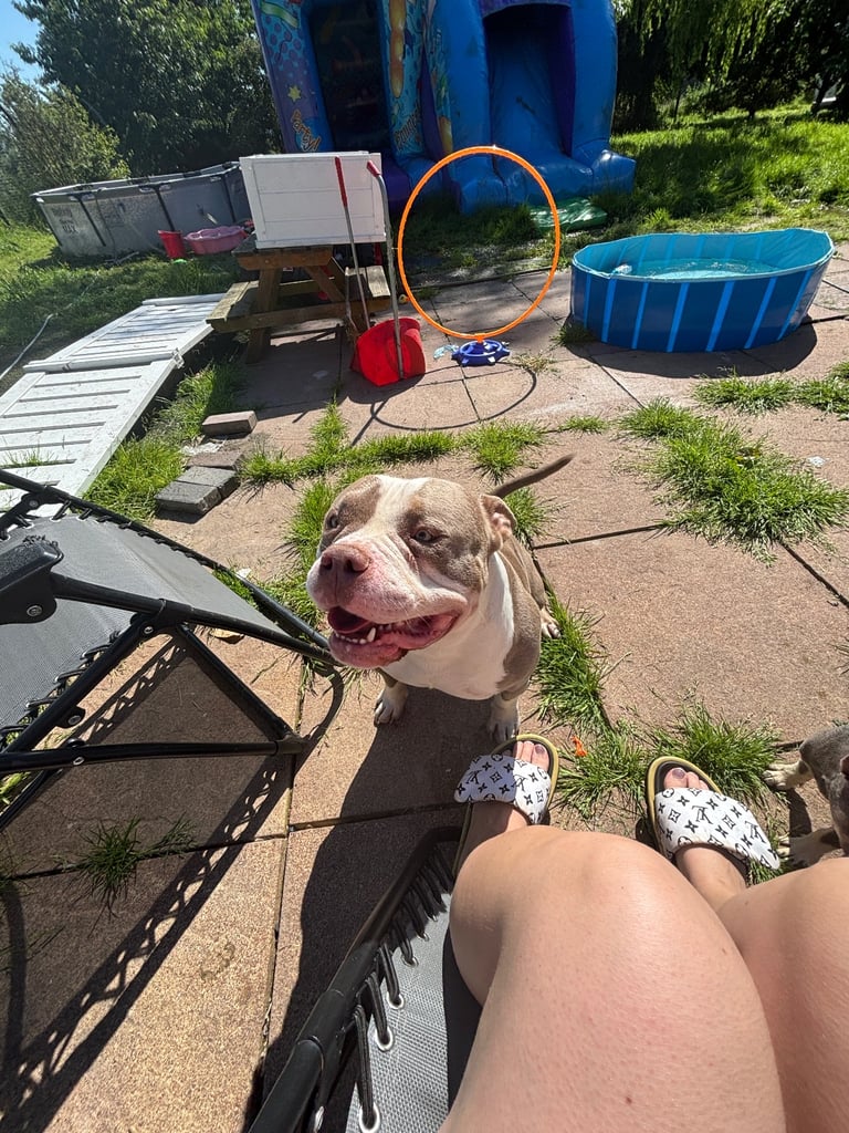 Kennels & boarding With Mari