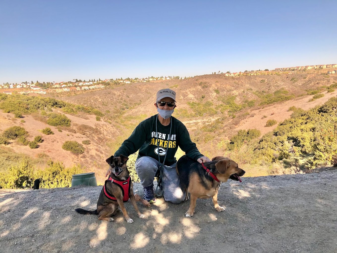 Dog Walks ‘N More, LLC San Diego