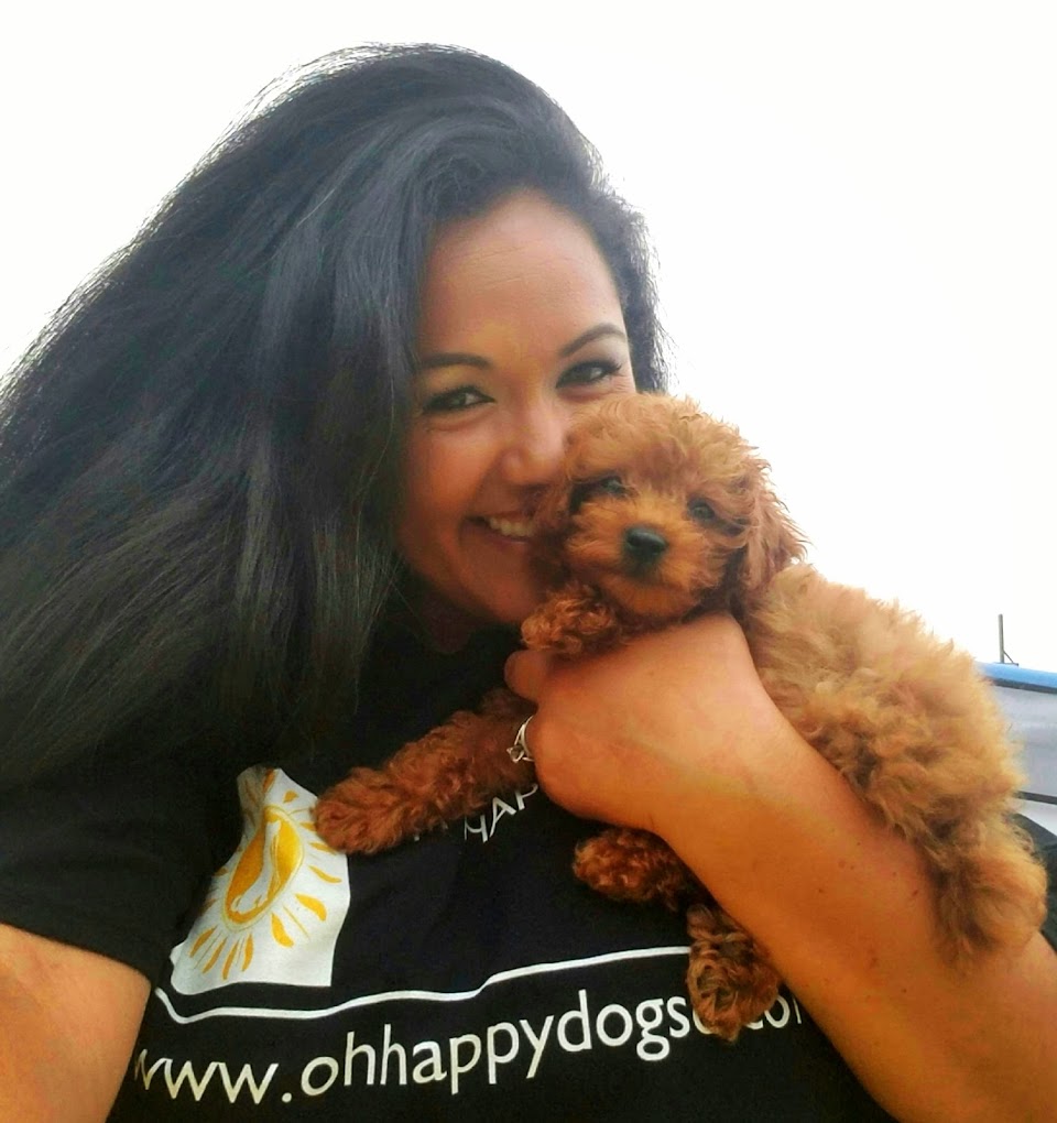 Oh Happy Dog! San Diego