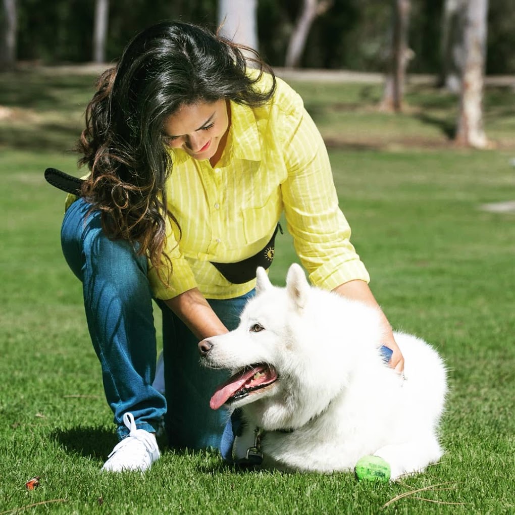 Oh Happy Dog! San Diego