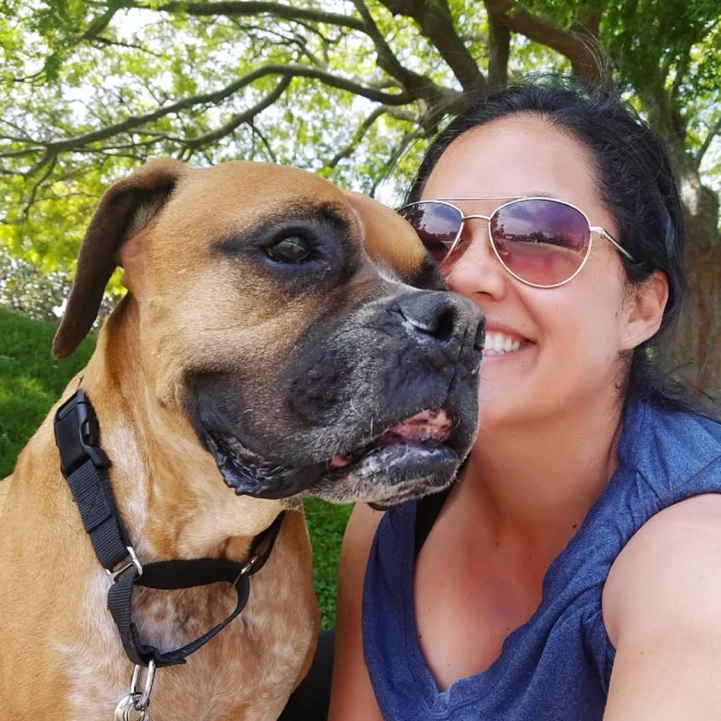 Oh Happy Dog! San Diego