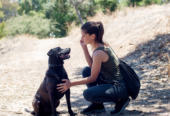 Sniff | San Diego – Private Dog Walking
