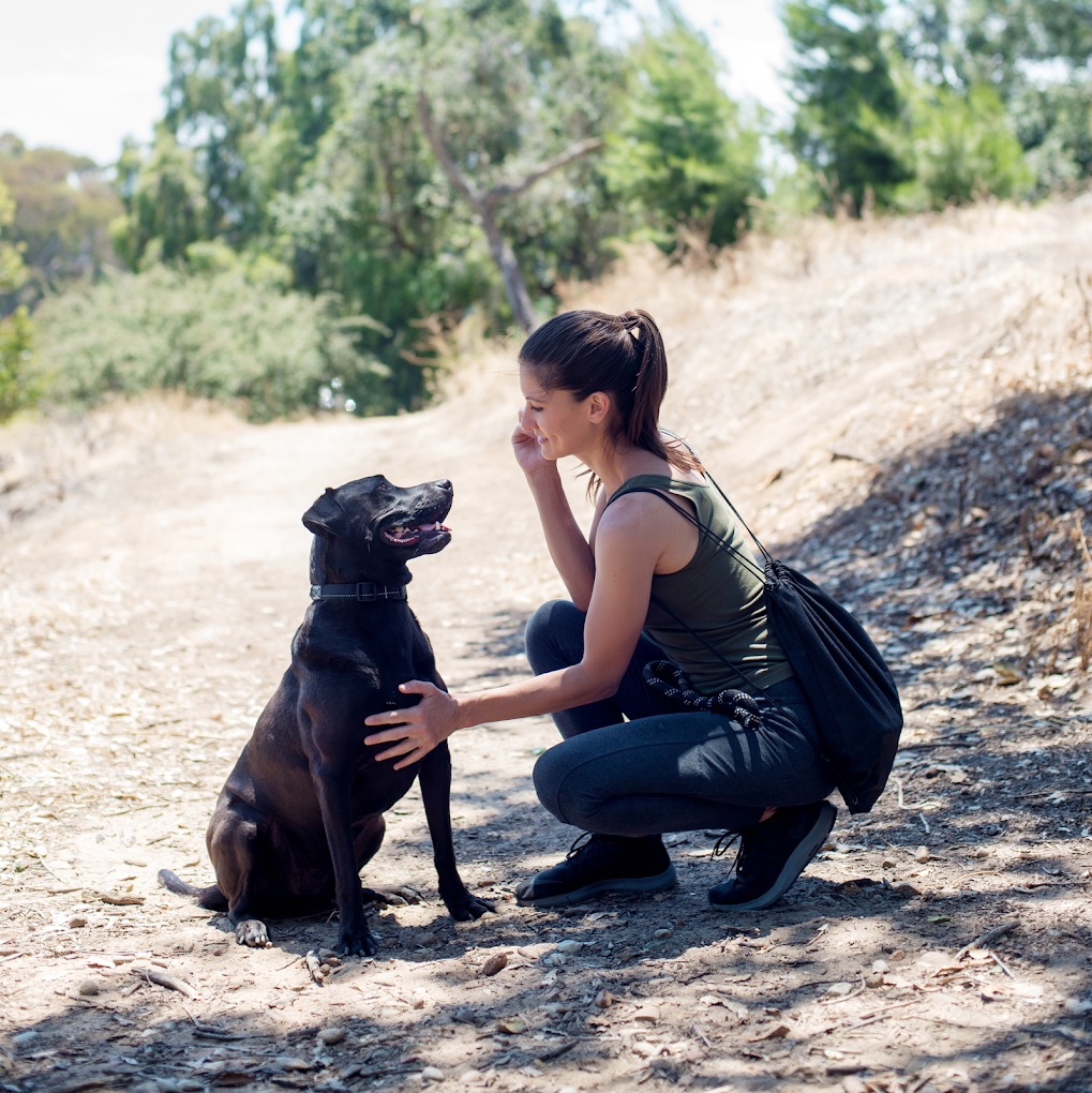 Sniff | San Diego – Private Dog Walking