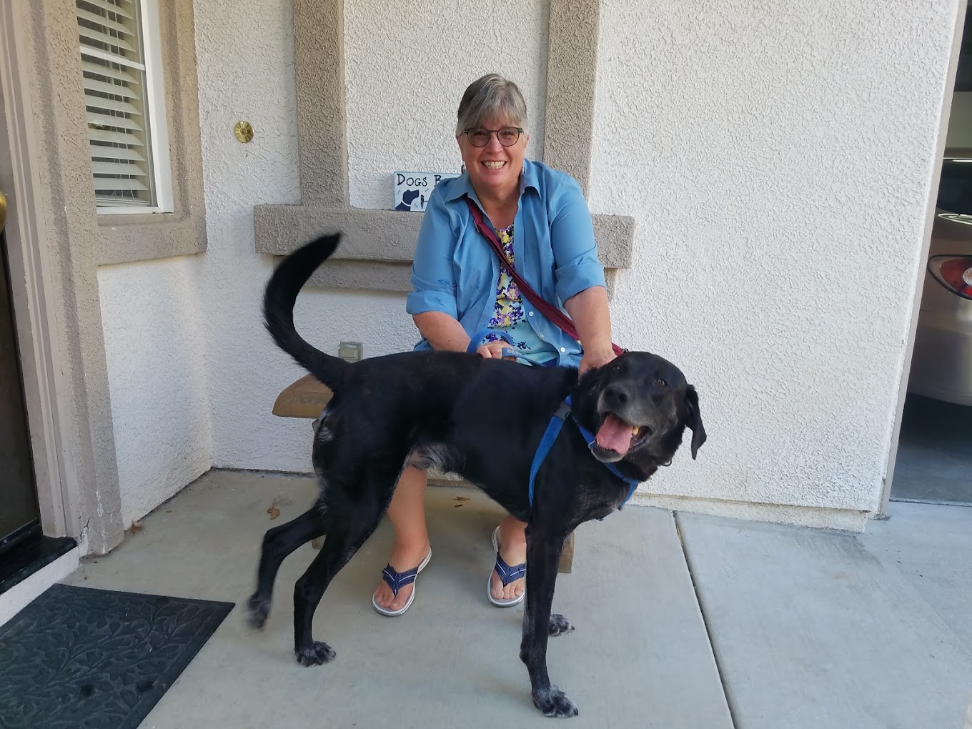 Hugs Pet Sitting San Diego